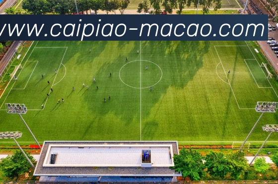 澳门彩发展历程